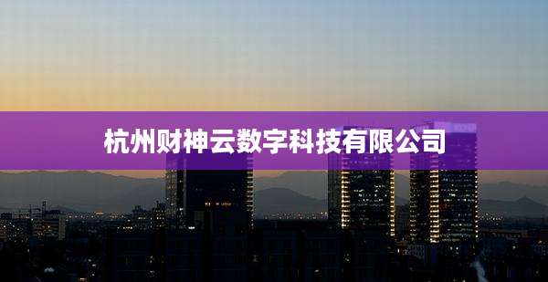 杭州财神云数字科技有限公司