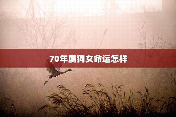 70年属狗女命运怎样