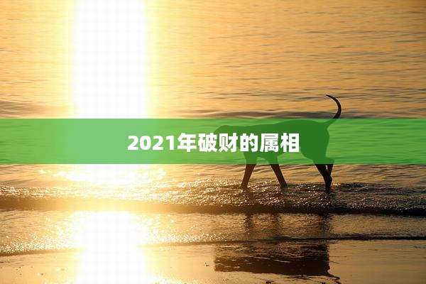 2021年破财的属相
