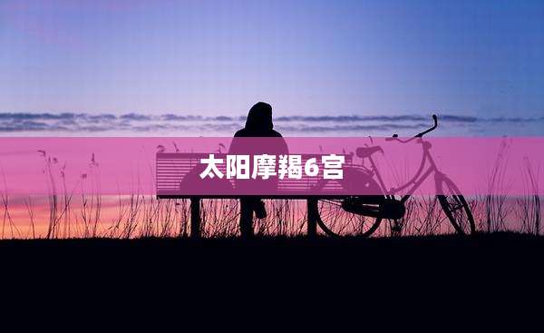 太阳摩羯6宫
