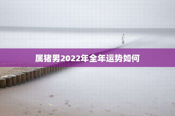 属猪男2022年全年运势如何