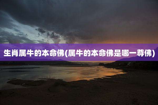 生肖属牛的本命佛(属牛的本命佛是哪一尊佛)
