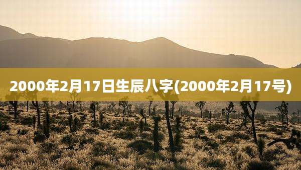2000年2月17日生辰八字(2000年2月17号)