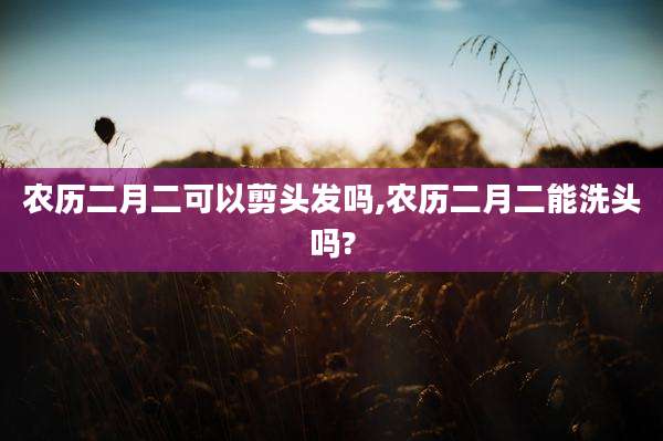 农历二月二可以剪头发吗,农历二月二能洗头吗?