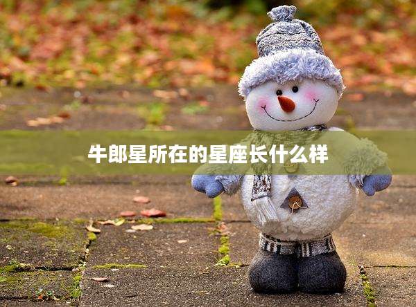 牛郎星所在的星座长什么样