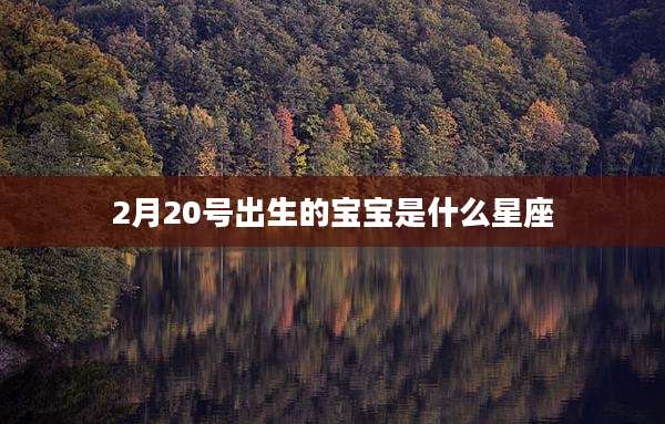 2月20号出生的宝宝是什么星座