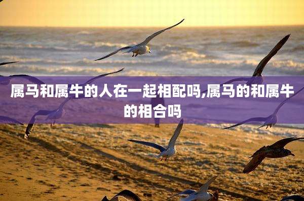 属马和属牛的人在一起相配吗,属马的和属牛的相合吗