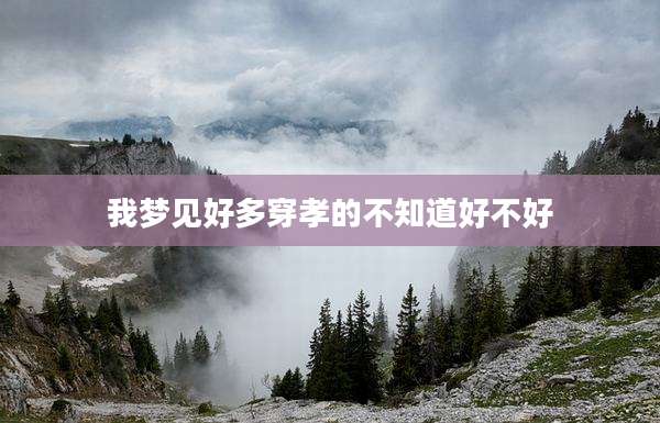 我梦见好多穿孝的不知道好不好