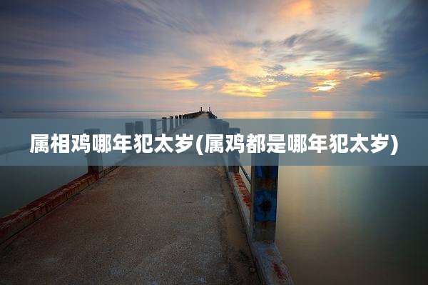 属相鸡哪年犯太岁(属鸡都是哪年犯太岁)