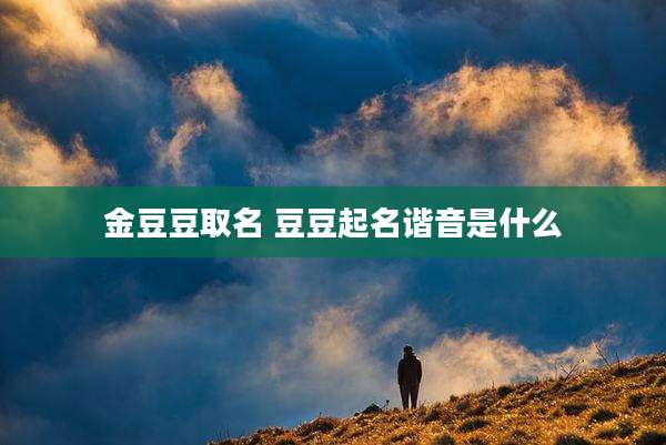 金豆豆取名 豆豆起名谐音是什么