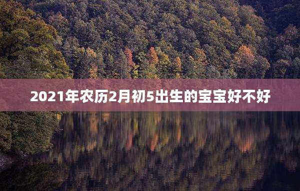 2021年农历2月初5出生的宝宝好不好