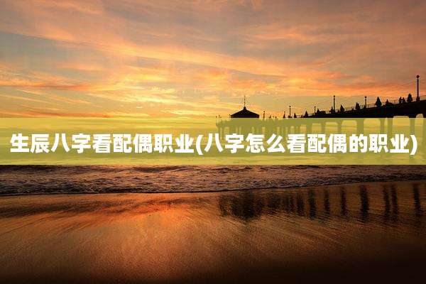 生辰八字看配偶职业(八字怎么看配偶的职业)