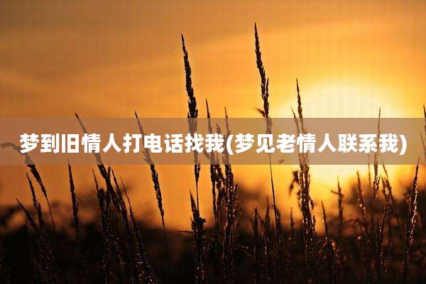 梦到旧情人打电话找我(梦见老情人联系我)