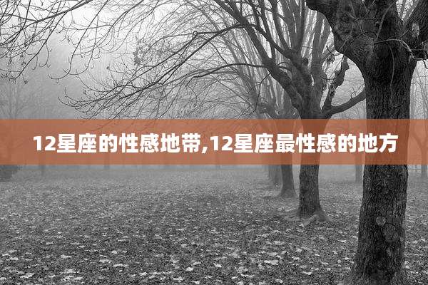 12星座的性感地带,12星座最性感的地方