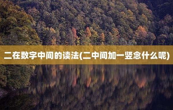二在数字中间的读法(二中间加一竖念什么呢)