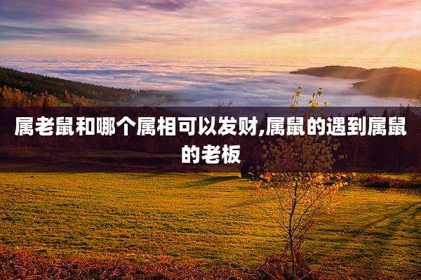 属老鼠和哪个属相可以发财,属鼠的遇到属鼠的老板