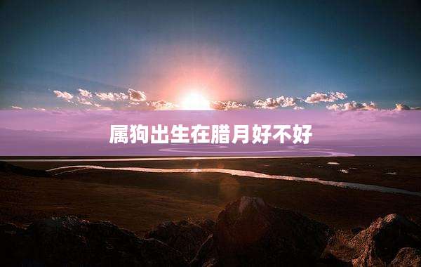 属狗出生在腊月好不好