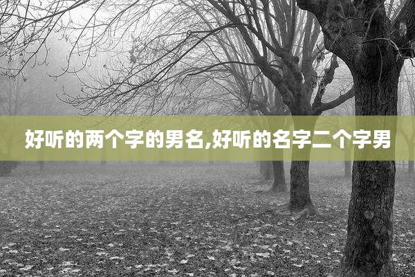 好听的两个字的男名,好听的名字二个字男