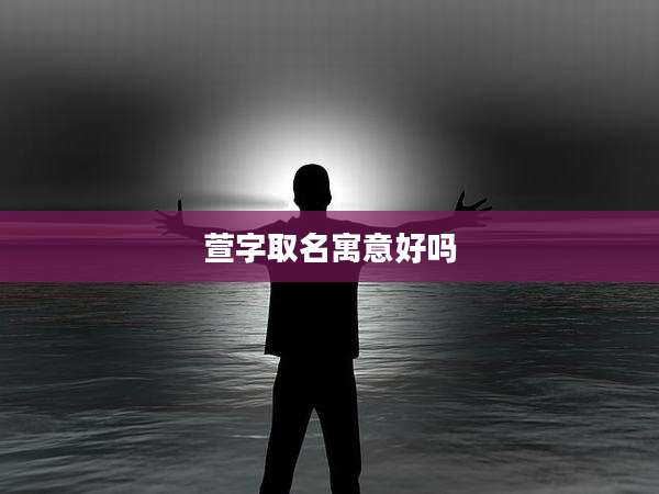 萱字取名寓意好吗