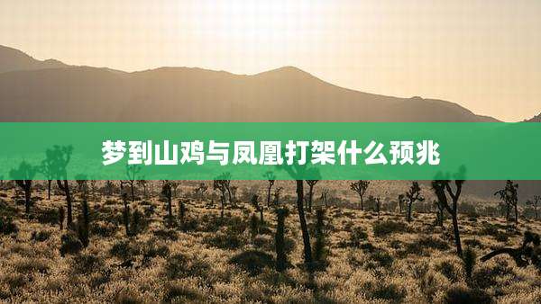 梦到山鸡与凤凰打架什么预兆