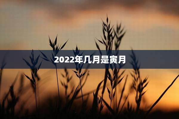2022年几月是寅月