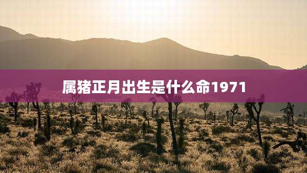 属猪正月出生是什么命1971