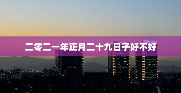 二零二一年正月二十九日子好不好
