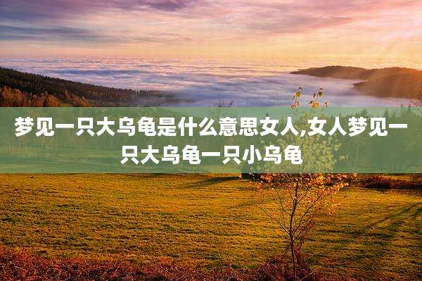 梦见一只大乌龟是什么意思女人,女人梦见一只大乌龟一只小乌龟