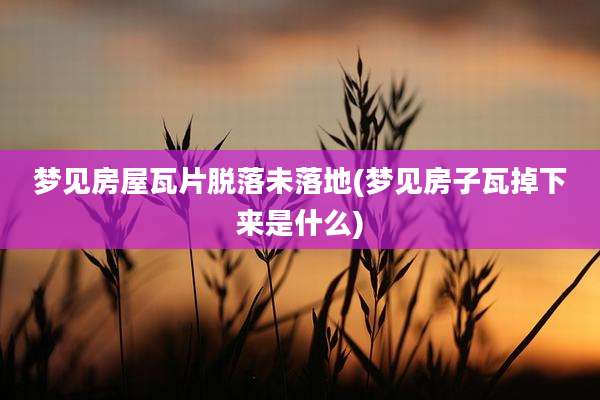 梦见房屋瓦片脱落未落地(梦见房子瓦掉下来是什么)