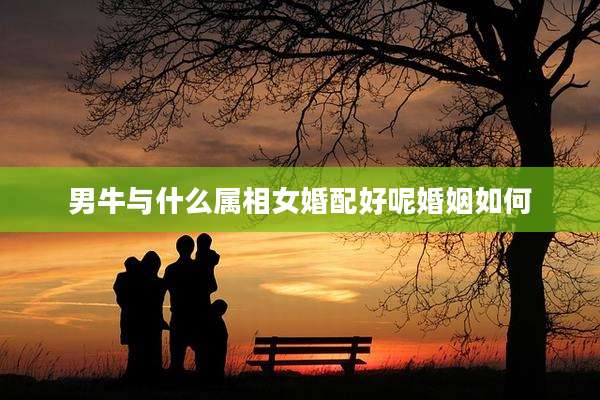 男牛与什么属相女婚配好呢婚姻如何