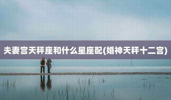 夫妻宫天秤座和什么星座配(婚神天秤十二宫)