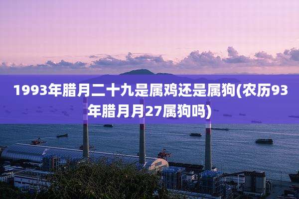 1993年腊月二十九是属鸡还是属狗(农历93年腊月月27属狗吗)