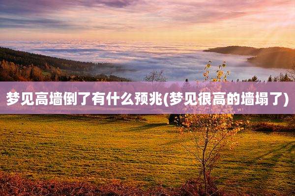 梦见高墙倒了有什么预兆(梦见很高的墙塌了)