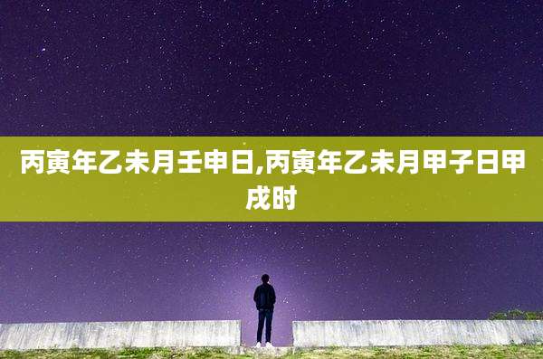 丙寅年乙未月壬申日,丙寅年乙未月甲子日甲戌时
