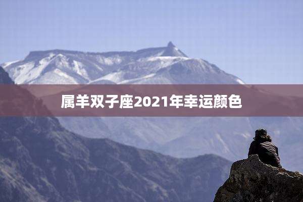 属羊双子座2021年幸运颜色