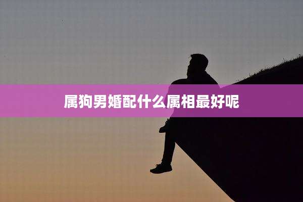 属狗男婚配什么属相最好呢