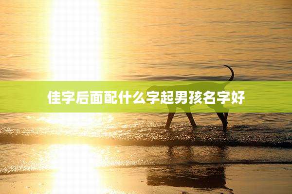 佳字后面配什么字起男孩名字好