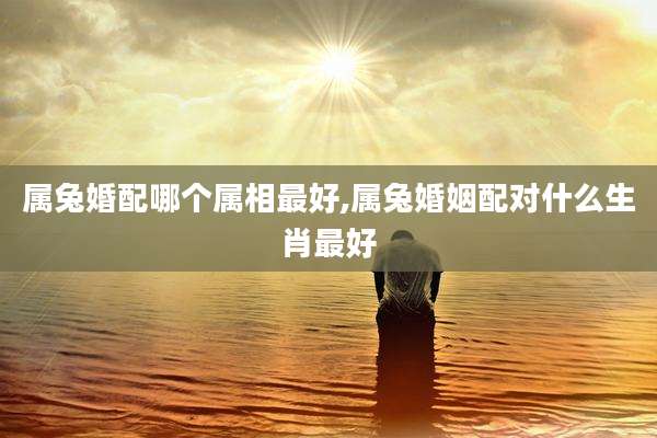 属兔婚配哪个属相最好,属兔婚姻配对什么生肖最好