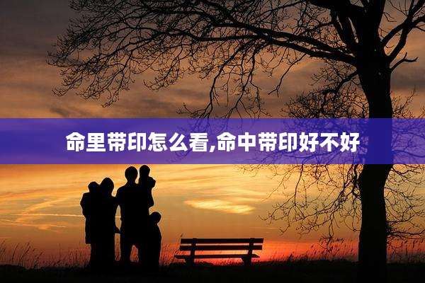 命里带印怎么看,命中带印好不好