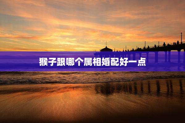 猴子跟哪个属相婚配好一点