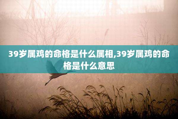 39岁属鸡的命格是什么属相,39岁属鸡的命格是什么意思