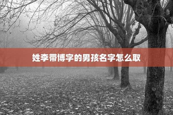 姓李带博字的男孩名字怎么取