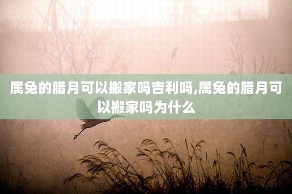 属兔的腊月可以搬家吗吉利吗,属兔的腊月可以搬家吗为什么