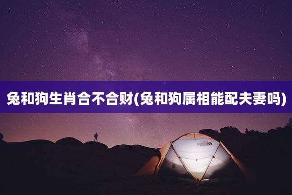 兔和狗生肖合不合财(兔和狗属相能配夫妻吗)