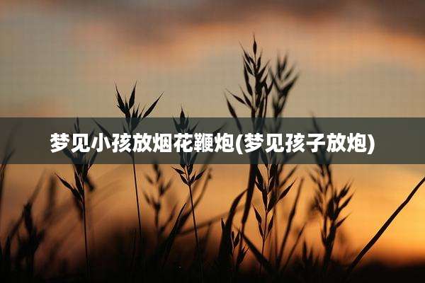 梦见小孩放烟花鞭炮(梦见孩子放炮)
