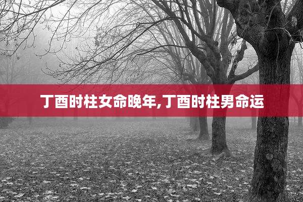 丁酉时柱女命晚年,丁酉时柱男命运