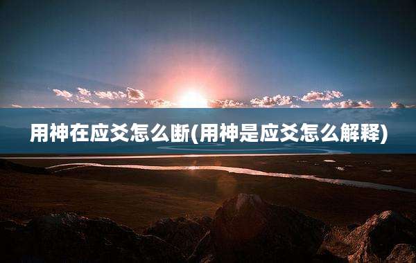 用神在应爻怎么断(用神是应爻怎么解释)