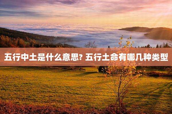 五行中土是什么意思? 五行土命有哪几种类型