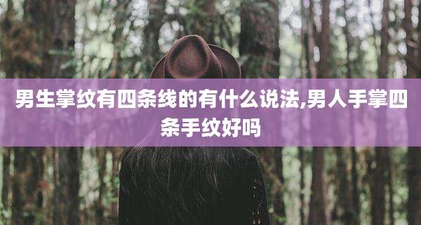 男生掌纹有四条线的有什么说法,男人手掌四条手纹好吗
