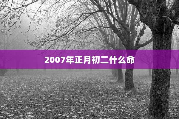 2007年正月初二什么命